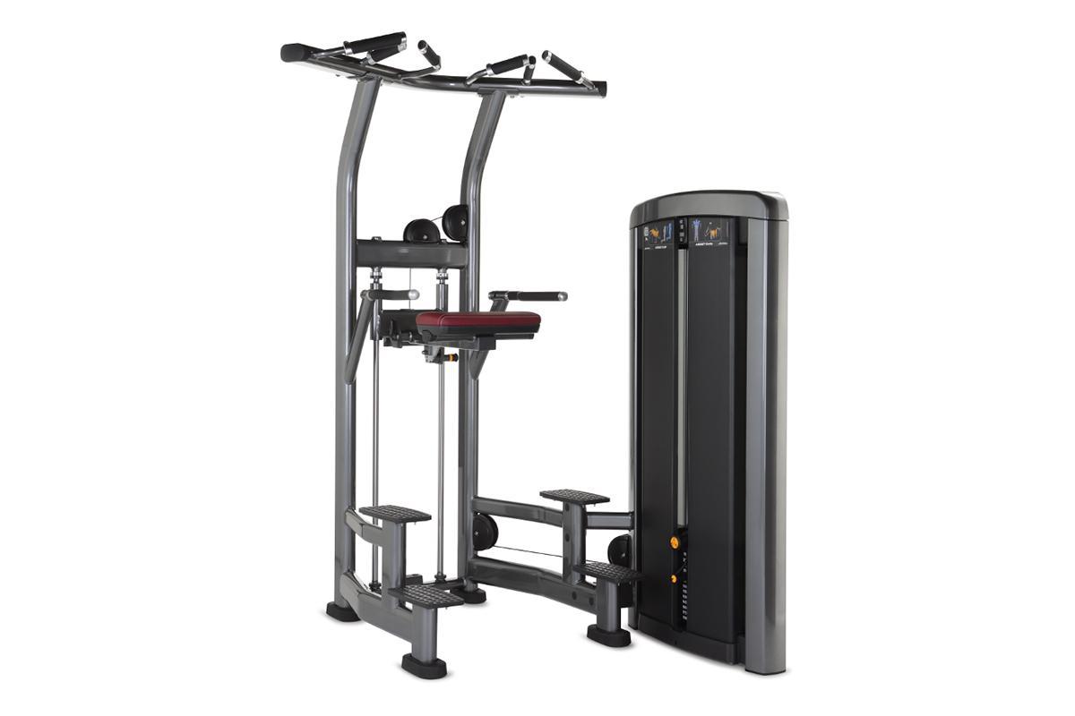 Life Fitness Insignia Series Strength Training Selectorized Assist Dip Chin