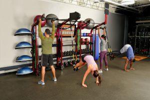 Life Fitness Synrgy Systems Functional Training Racks 1