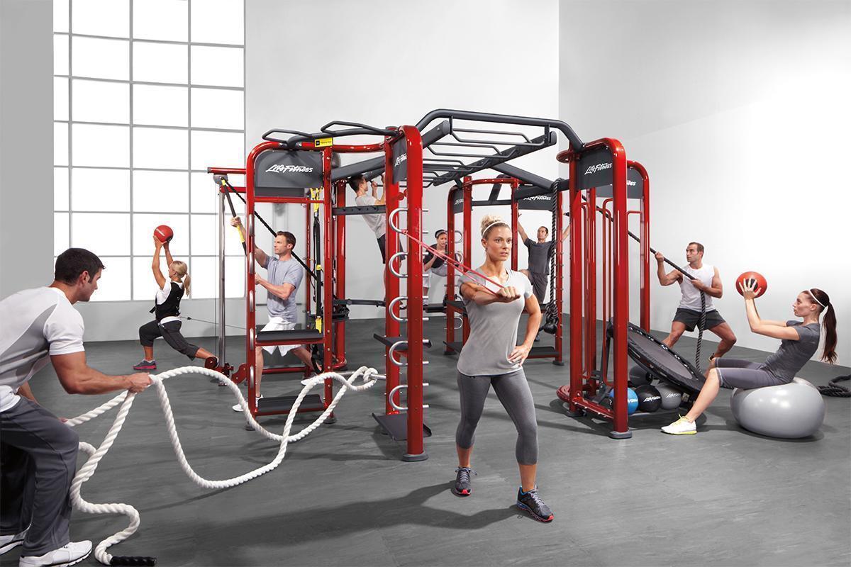 Life Fitness Synrgy Systems Functional Training Racks 5
