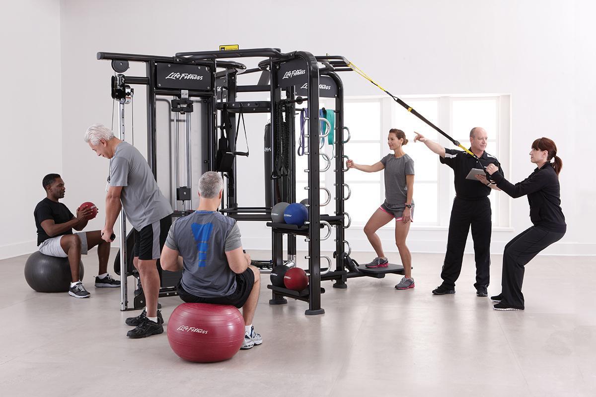 Life Fitness Synrgy Systems Functional Training Racks 6